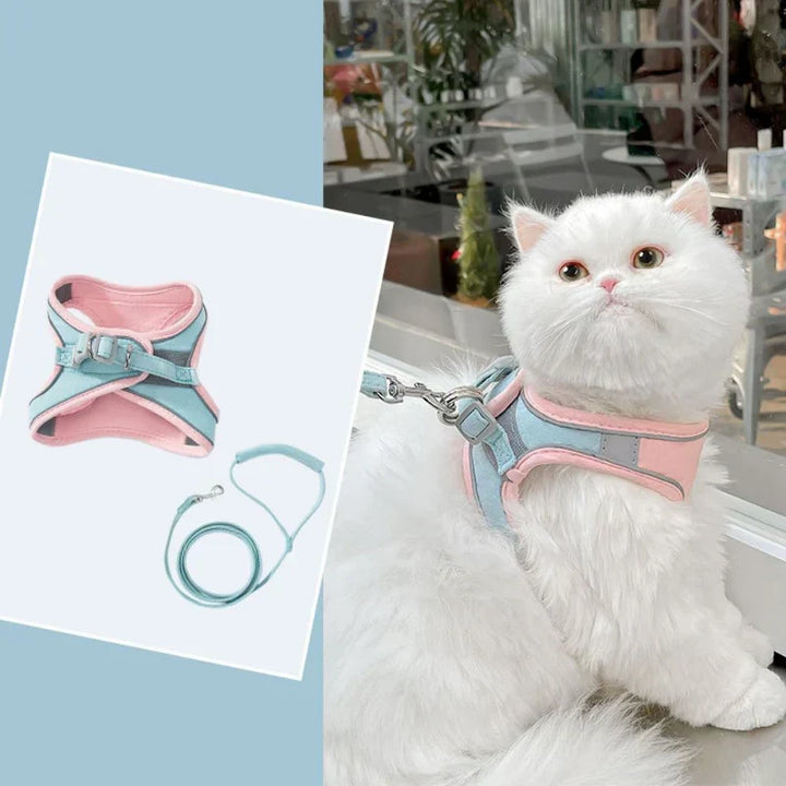 Unisex cat harness, demonstrating its adjustable straps for a perfect, secure fit.