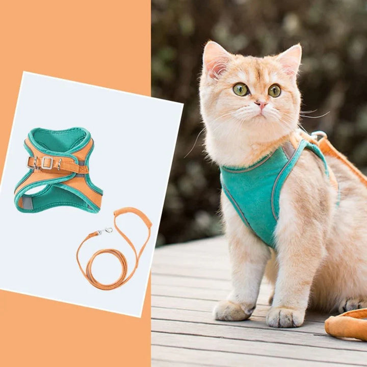 Lightweight & comfortable pet gear: a modern cat harness for happy outdoor cats.