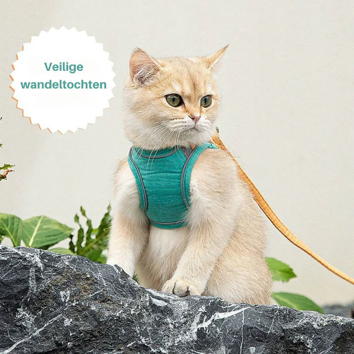 An adventure cat harness designed for all sizes, ensuring secure and pleasant outings.