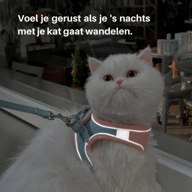 Close-up of the secure locking mechanism on a reflective cat walking harness.