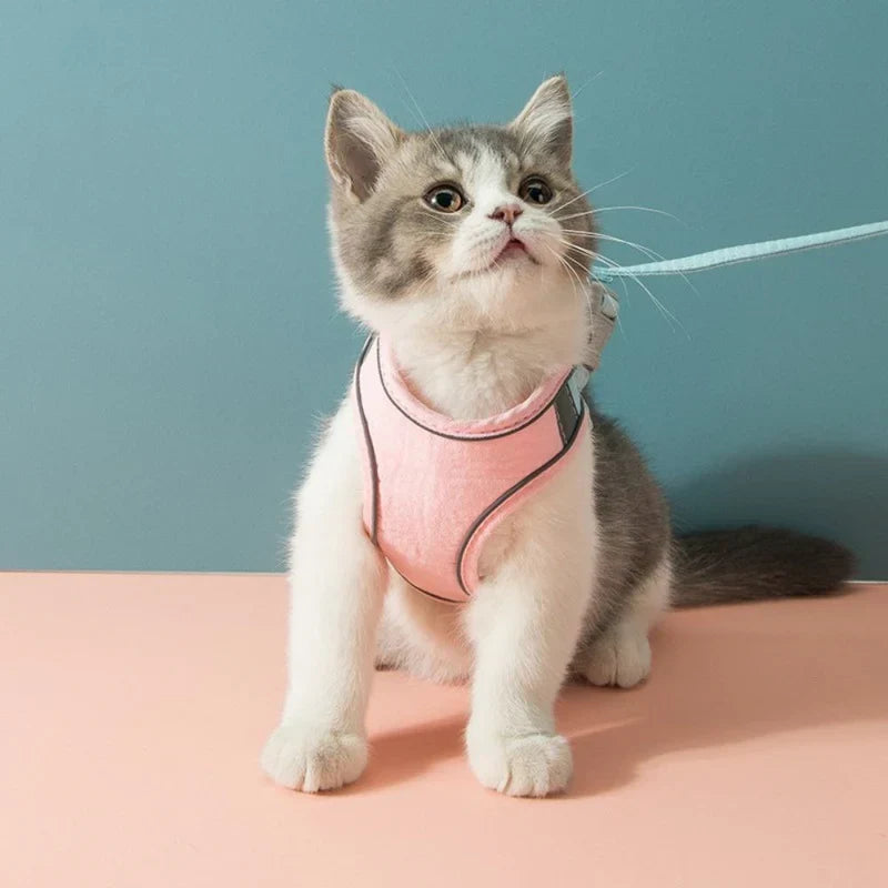Adjustable cat walking harness featuring durable, breathable mesh for feline comfort.