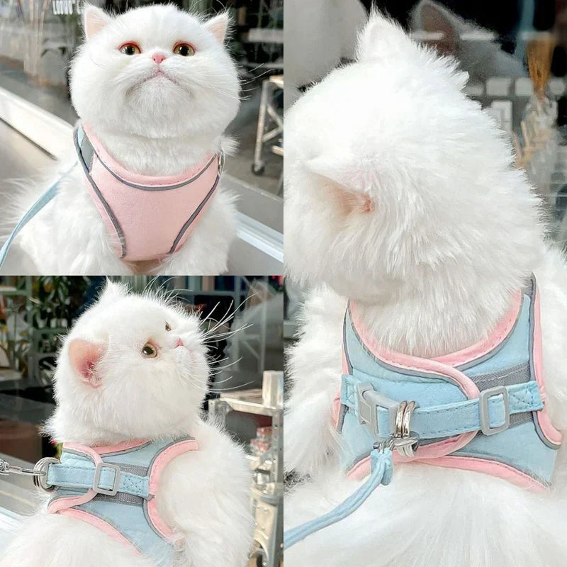 Cat looking relaxed in a comfortable pet harness, ready for an outdoor adventure.