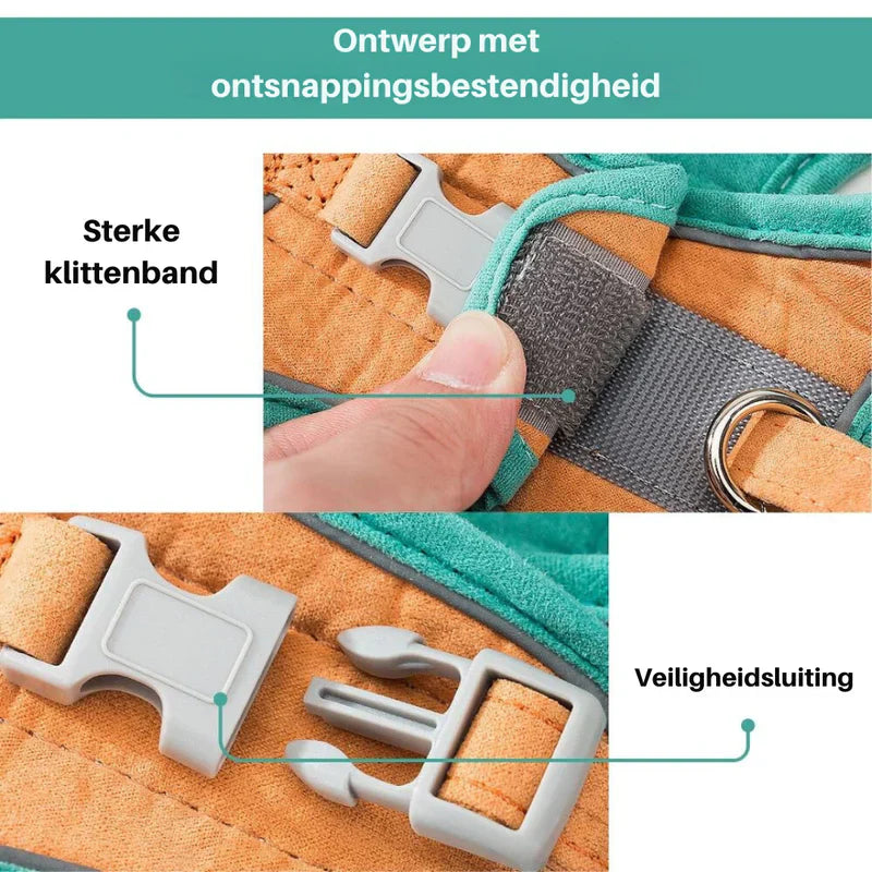 Practical pet gear: an easy-to-put-on, secure cat harness for adventurous felines.