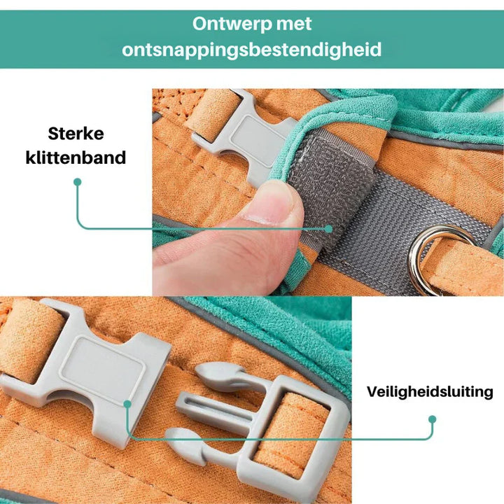 Practical pet gear: an easy-to-put-on, secure cat harness for adventurous felines.
