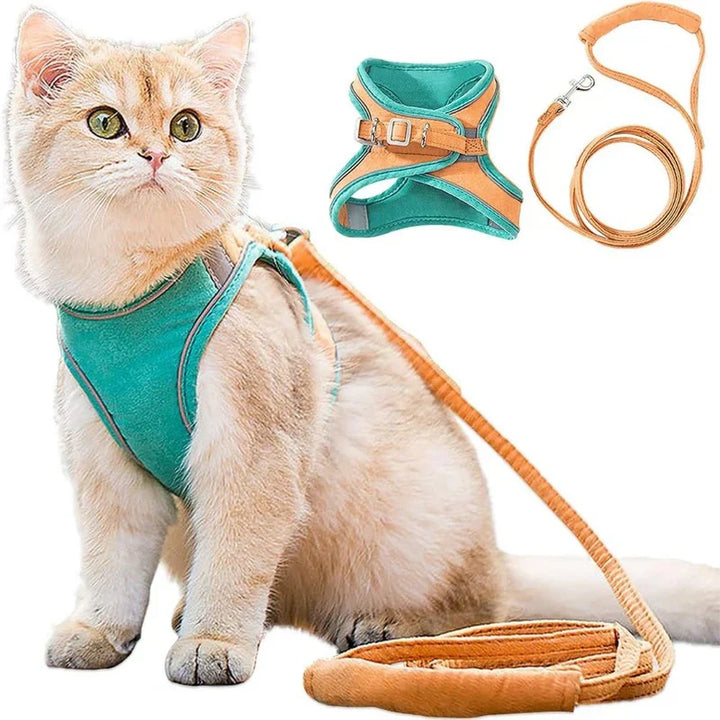 Reflective adventure cat harness for enhanced visibility & safety during night walks.