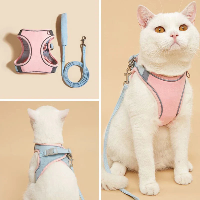 Comfortable pet gear: a snug-fit cat harness with easy-release buckles for safety.