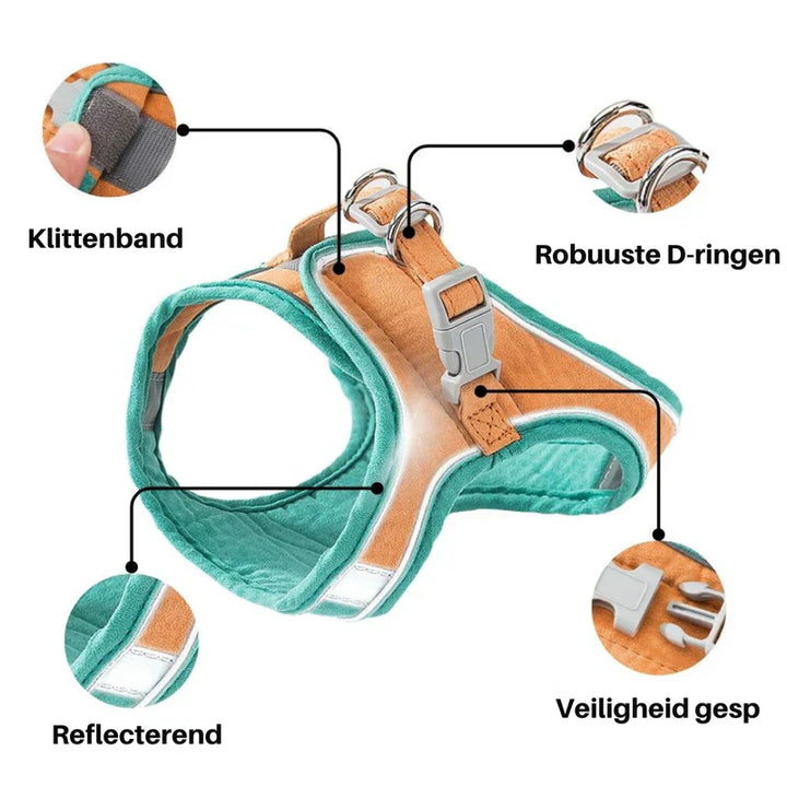 Front view of a cat wearing a secure, lightweight walking harness for exploring outdoors.