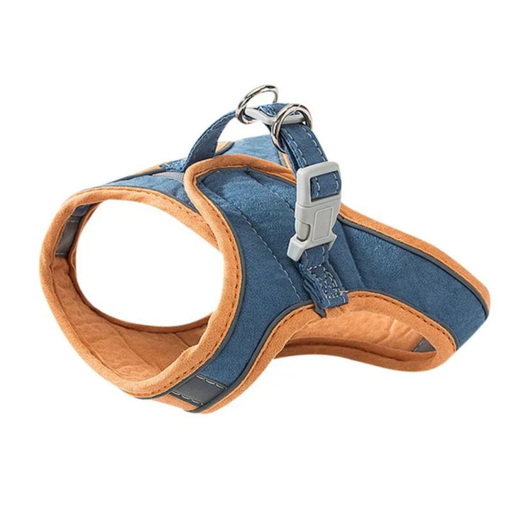 Back view of a cat in an adjustable safety harness, perfect for adventures and control.