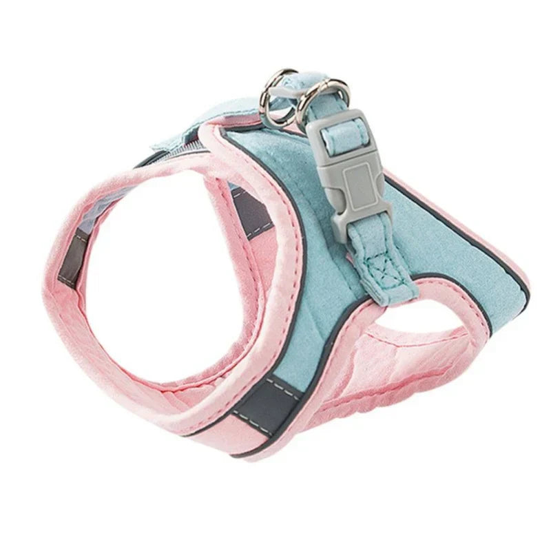 Close-up of the robust D-ring on a durable cat leash and harness system.