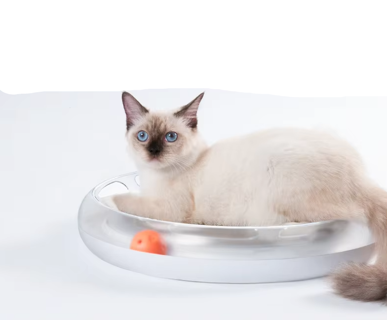 Durable cat scratching board featuring engaging rolling balls, perfect for interactive pet play and claw maintenance.