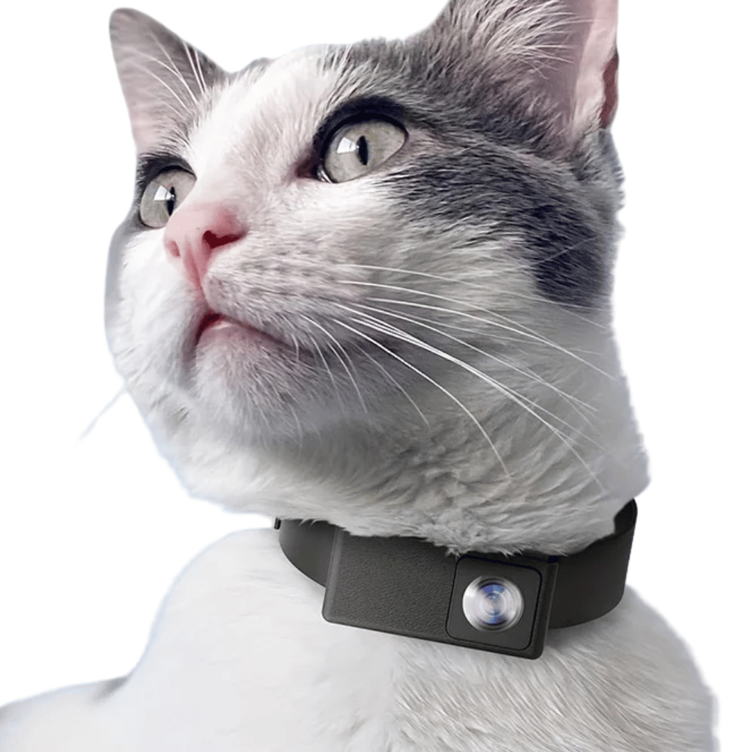 Unisex HD pet collar camera for dogs & cats, captures their adventures from a unique perspective.
