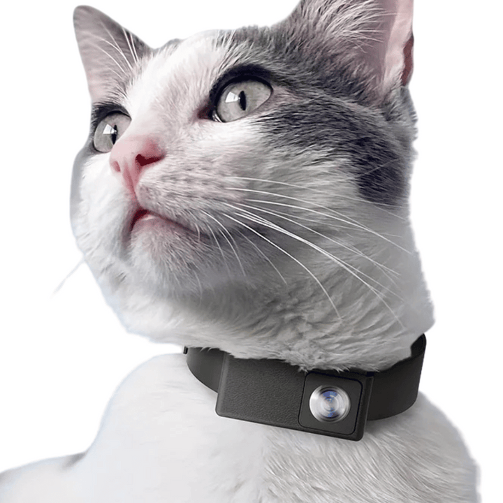 Unisex HD pet collar camera for dogs & cats, captures their adventures from a unique perspective.