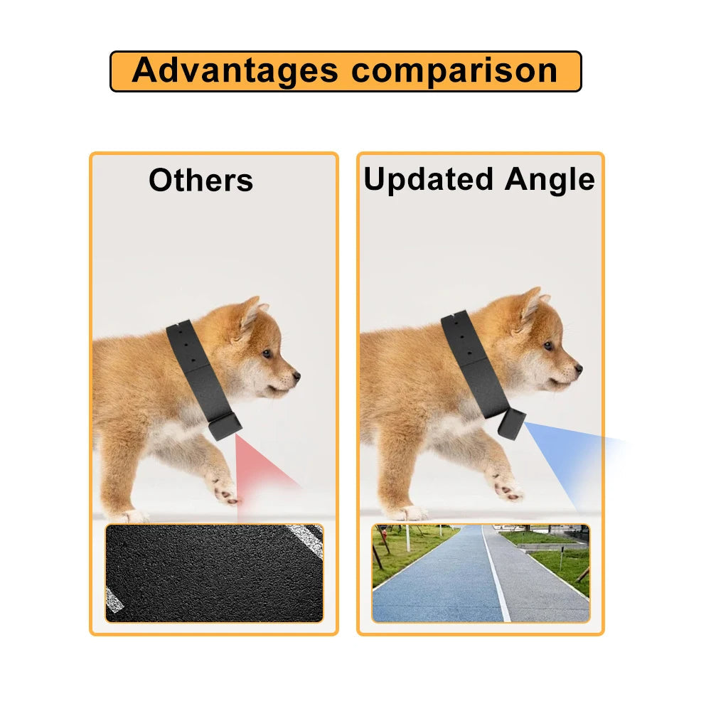 Recording a dog's walk with a compact black HD pet collar camera, capturing every happy moment.