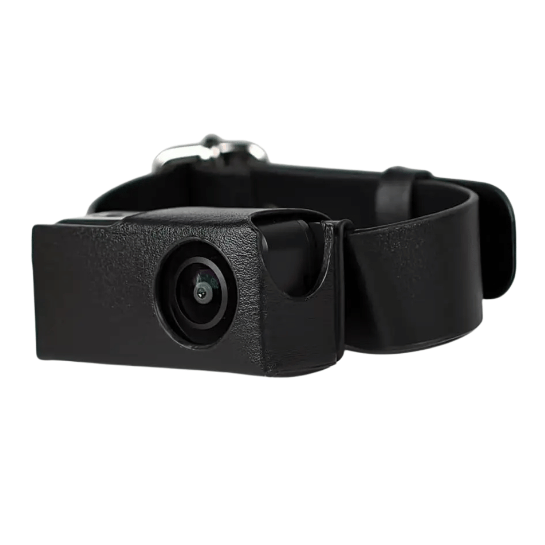 Black HD dog collar camera, lightweight & durable for outdoor recording & tracking pet activities.