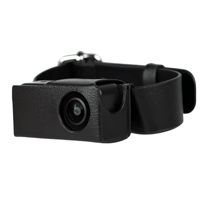 Black HD dog collar camera, lightweight & durable for outdoor recording & tracking pet activities.
