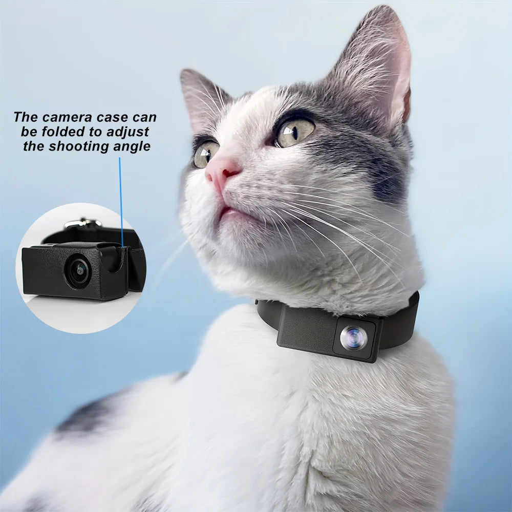 Wearable HD pet camera, clips securely to any collar for dog & cat adventures and fun recordings.