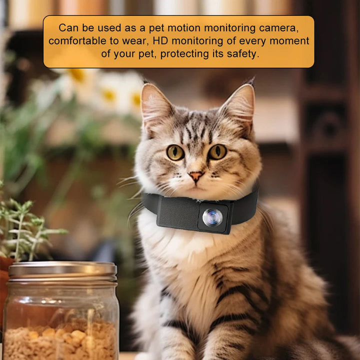 Capture your pet's world with this HD collar camera for dogs & cats, creating lasting memories.