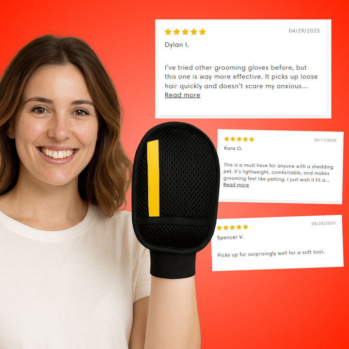Reusable lint and pet hair remover glove for quick cleaning of sofas, carpets, and upholstery.