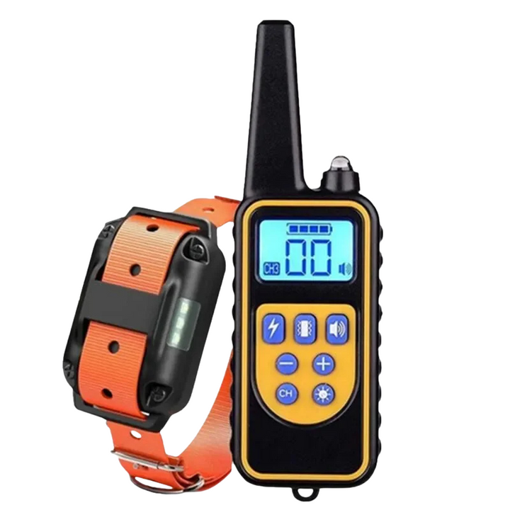 Pet owner using a remote dog training collar to teach obedience & correct unwanted behaviors safely.