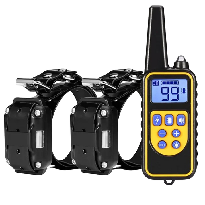 Complete remote dog training collar kit, including collar receiver & handheld remote for pet behavior control.