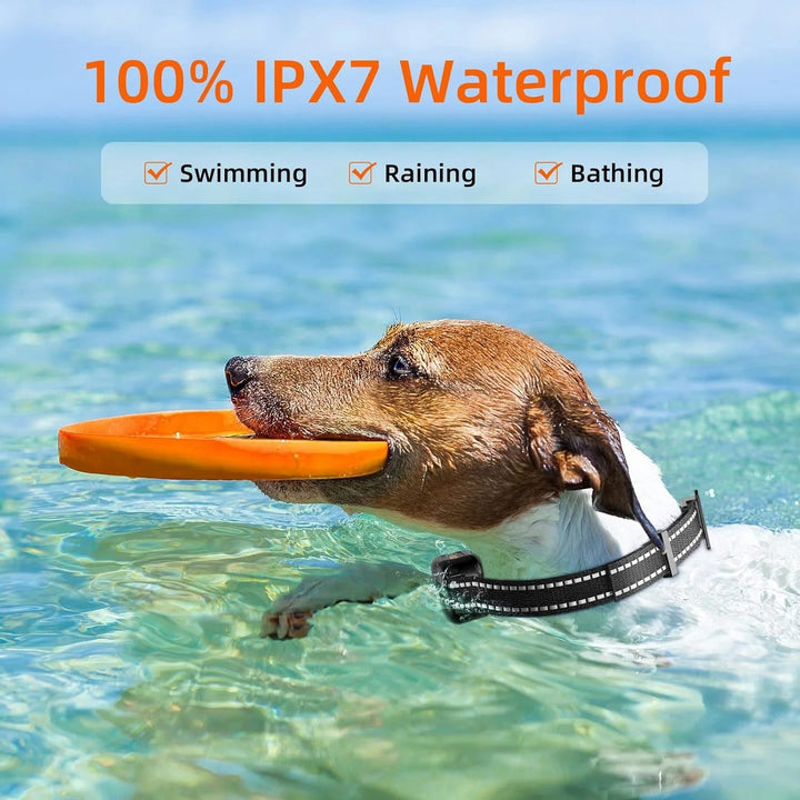 Pet training e-collar, waterproof and rechargeable. Improve dog behavior & obedience with remote control.