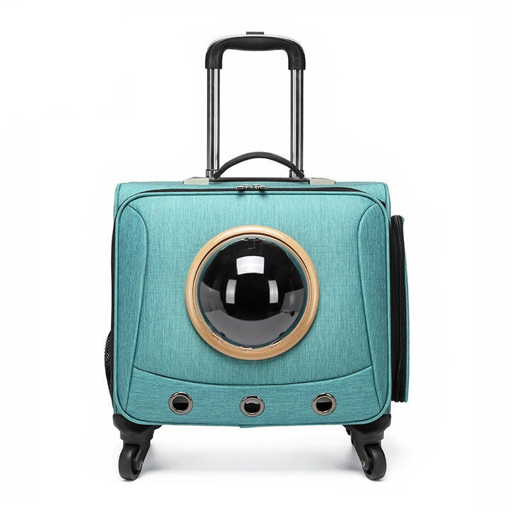 Blue ventilated pet carrier for car travel. Secure & portable capsule for small dogs & cats, perfect for trips.