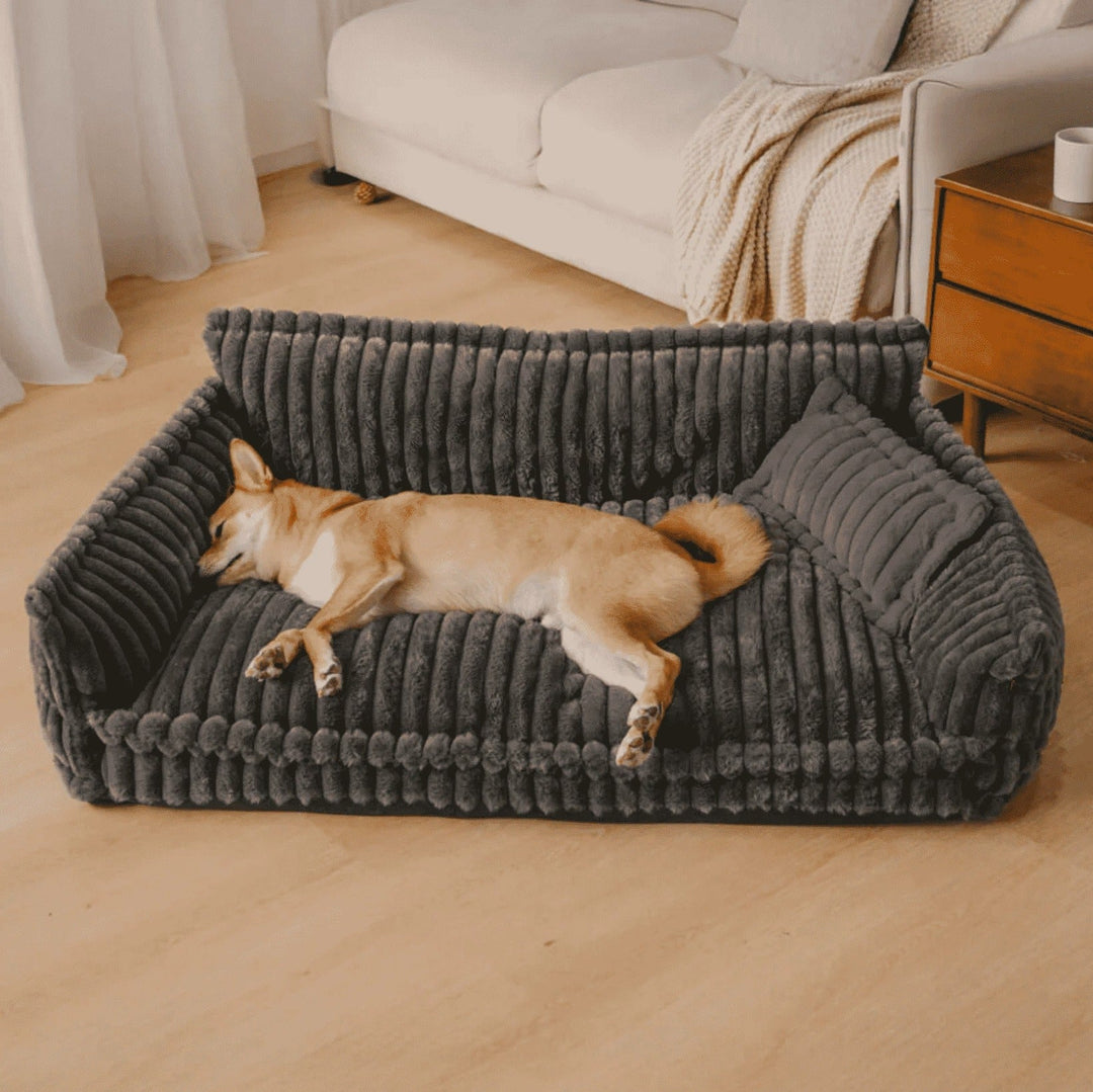 Washable orthopedic dog sofa for joint support & comfort. Easy-clean pet bed for large & small dogs.