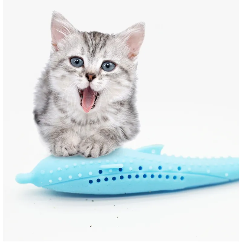 Dental health whale chew toy, silicone-made for cats and small dogs to relieve teething and boredom.