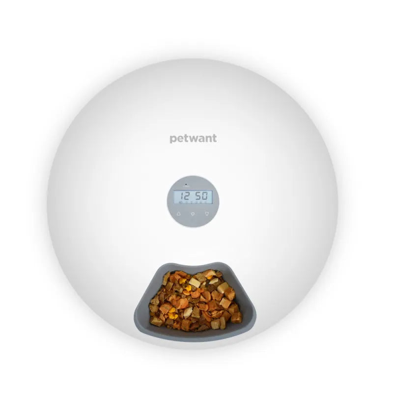Automatic digital pet feeder, white modern design, perfect for dog & cat food dispensing.