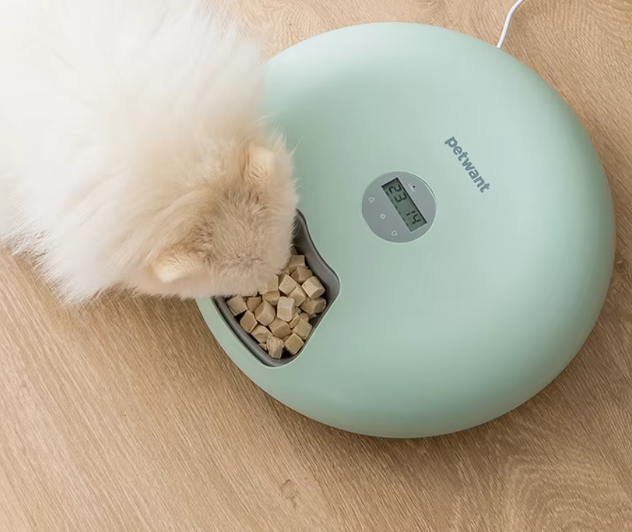 Close-up of smart automatic pet food dispenser's digital panel, easy programming.