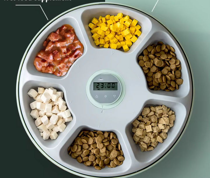 Modern white automatic pet food dispenser, digital control for scheduled feeding of cats & dogs.