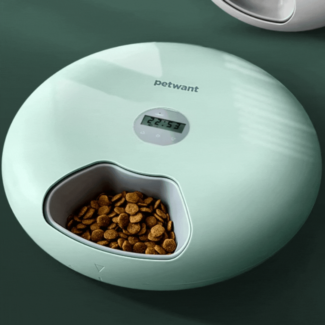 Reliable automatic pet food dispenser, ensures your cat or dog is fed on schedule.