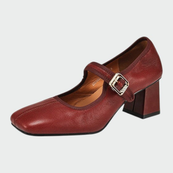 Comfortable women's Mary Jane shoes with sturdy block heel and adjustable buckle strap