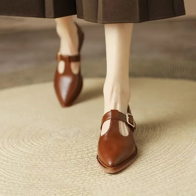 Stylish women's pointed toe T-strap block heels. Versatile footwear for casual or formal wear.