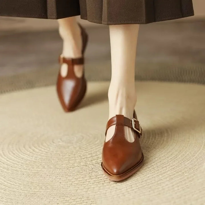 Stylish women's pointed toe T-strap block heels. Versatile footwear for casual or formal wear.