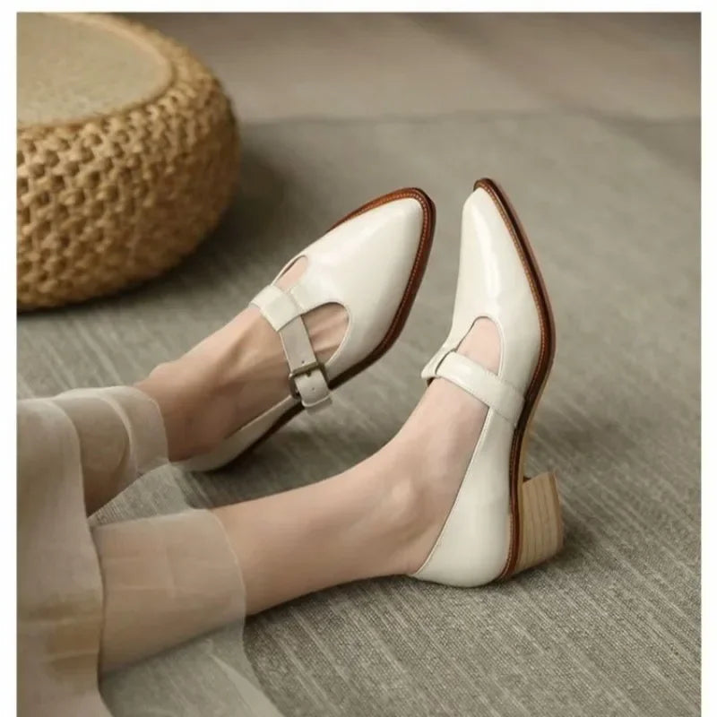 Fashionable women's black pointed toe block heels with T-strap design, perfect as dress or casual shoes.