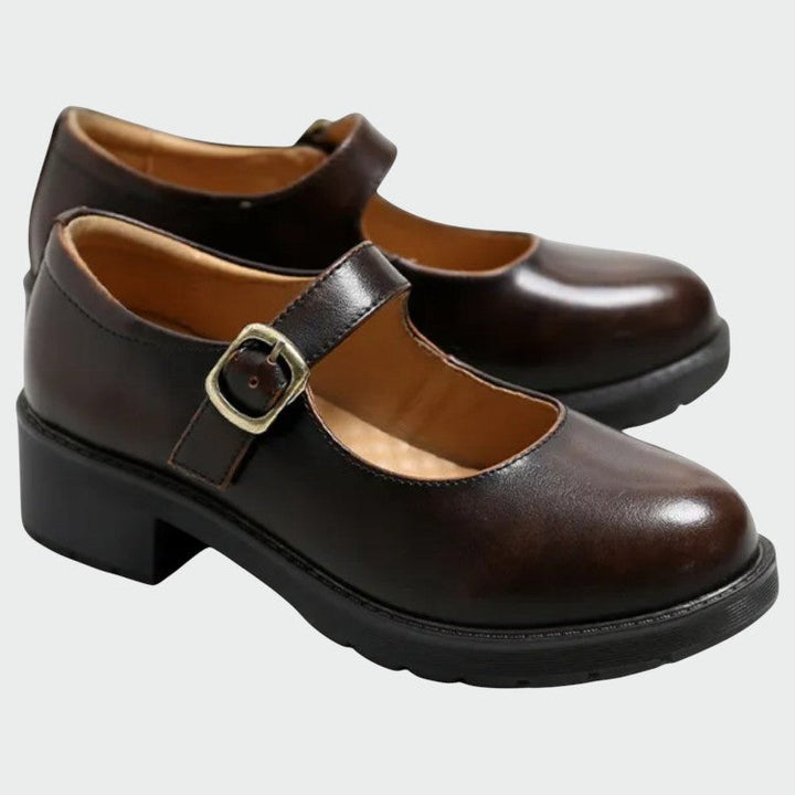 Women's elegant dark brown Mary Jane block heel shoes, comfortable and classic for versatile wear.