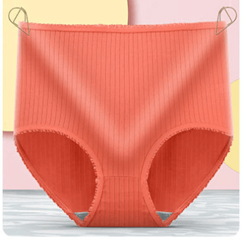 Essential women's leakproof briefs. Comfortable silk-cotton daily wear 3-pack for discreet, reliable protection.