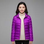 Purple Stand-up Collar